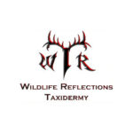 Wildlife Reflections Taxidermy